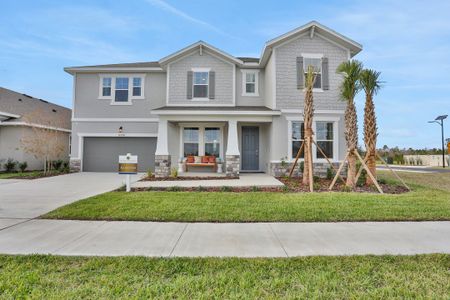 Angeline by Dream Finders Homes in Land O' Lakes - photo 0 0