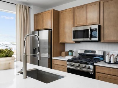 Lyric at RidgeGate Townhomes by Lokal Homes in Lone Tree - image 10