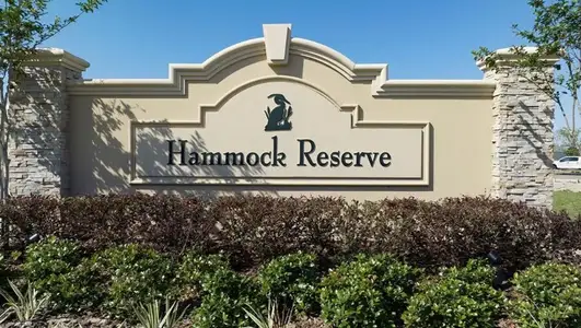 Hammock Reserve by Casa Fresca Homes in Haines City - photo 1 1