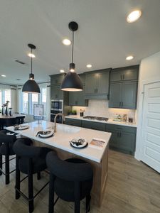 Easton Park 40' by Perry Homes in Austin - photo 61 61