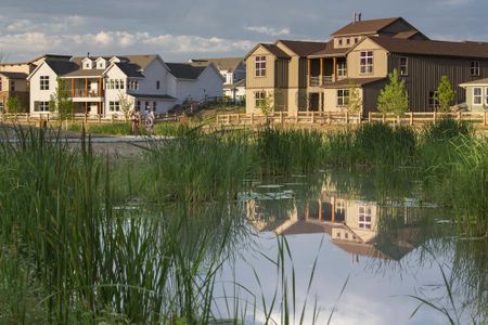 The Lakes at Centerra - North Shore Flats by Landmark Homes in Loveland - photo 11 11