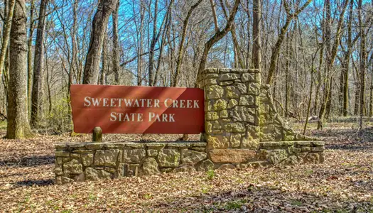 The Reserve at Clocktower by Stephen Elliott Homes in Douglasville - image 14