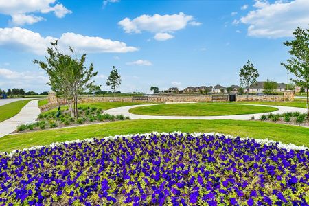 Mustang Lakes by David Weekley Homes in Celina - photo 7 7