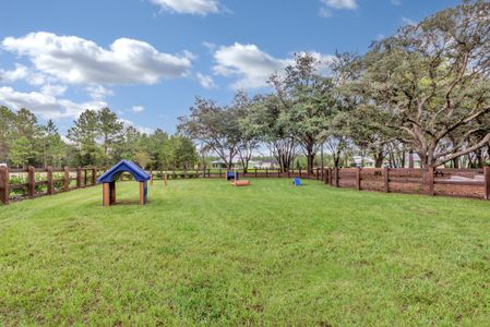 Reverie at Looking Glass by Dream Finders Homes in Parker - photo 7 7