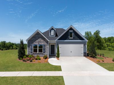 Solena at the Vineyards II by Meritage Homes in Charlotte - photo