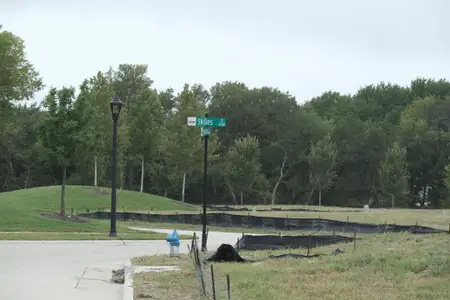 Painted Tree - Village District by CB JENI Homes in McKinney - image