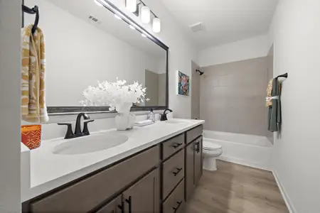 Mostyn Springs by DSLD Homes in Magnolia - image 9