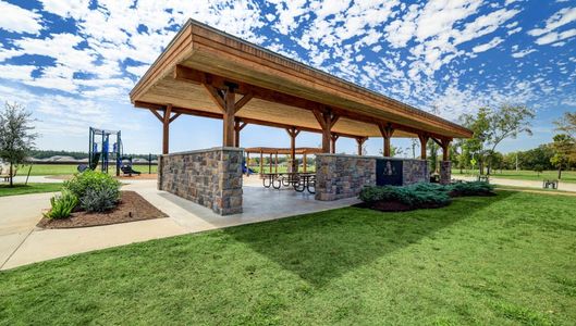 Harrington Trails at The Canopies by D.R. Horton in New Caney - photo 12 12