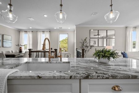 Friedrich Hill by Rosehaven Homes in San Antonio - image 7