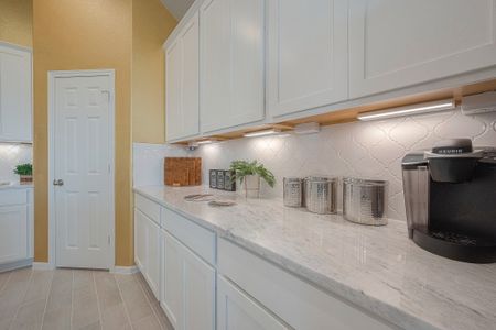 Sunterra by Colina Homes in Katy - photo 49 49