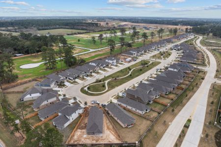 Sorella by M/I Homes in Tomball - photo 23 23