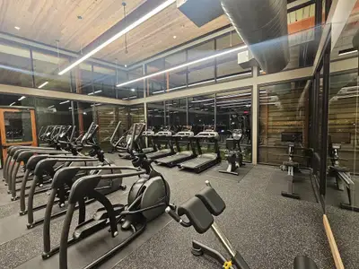 Saddle Ridge at Wildhorse Ranch by Milestone Community Builders in Austin - image