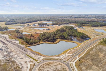 Shortgrass At Two Rivers by M/I Homes in Zephyrhills - photo 23 23