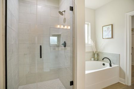 Starburst at Hammock Bay by DSLD Homes in Freeport - image 17