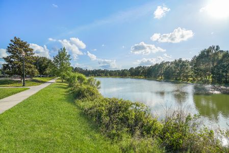 Shadow Crest at Rolling Hills by Adams Homes in Green Cove Springs - photo 12 12