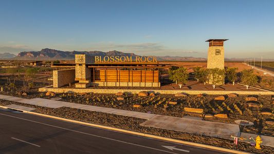 Blossom Rock by Tri Pointe Homes in Apache Junction - photo 0