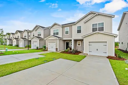 Hunters Branch Townhomes by McGuinn Homes in Hopkins - image