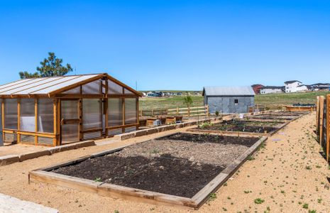 Raised beds where residents can harvest their own fruits and vegetables.