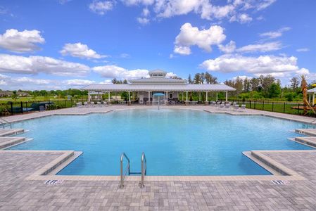 Lost Tree Preserve by Ryan Homes in Vero Beach - photo 4 4