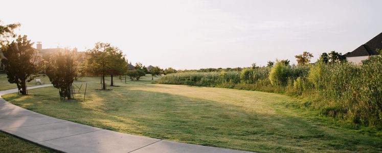 Light Farms - Master planned community in Celina, TX 19 19