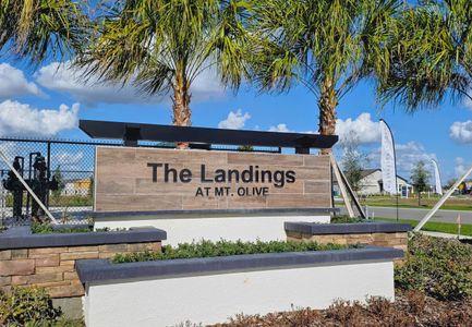 Landings at Mount Olive by Starlight Homes in Polk City - image