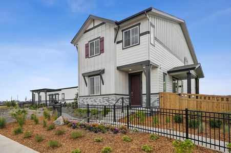 Windler by Century Communities in Aurora - image 13