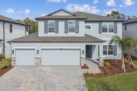 Berry Bay by M/I Homes in Wimauma - photo 43 43