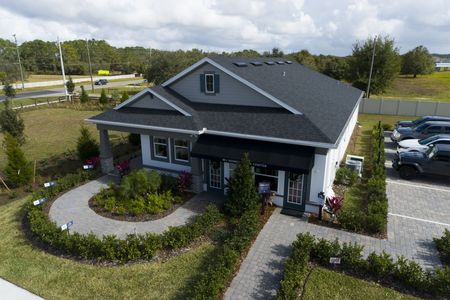 Bay Lake Farms by M/I Homes in St. Cloud - photo 43 43