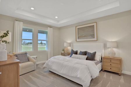 Angeline by Dream Finders Homes in Land O' Lakes - photo 22 22