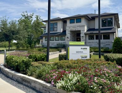 Sienna 80′ by Tri Pointe Homes in Missouri City - image 19