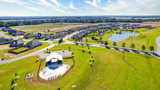 The Preserve at Agricultural Village by D.R. Horton in Perry - image