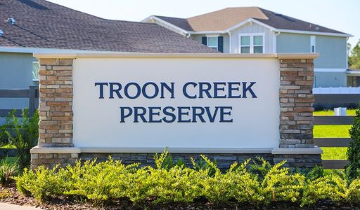 Troon Creek Preserve by Richmond American Homes in Leesburg - image
