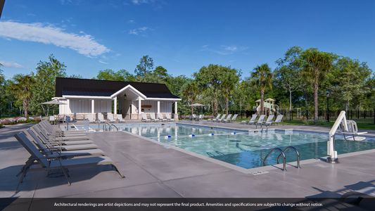 Pineland Preserve by Mungo Homes in Summerville - image