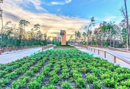 Grand Central Park – 60' by Westin Homes in Conroe - photo 4 4