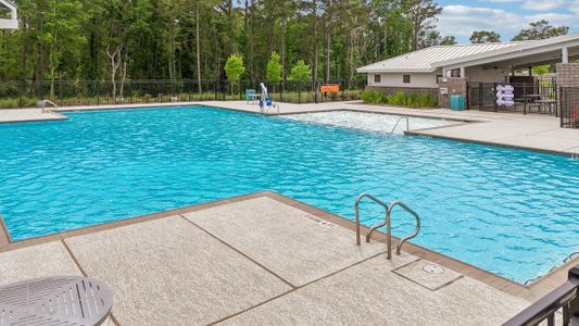 Grand Pines by D.R. Horton in Magnolia - photo 5 5