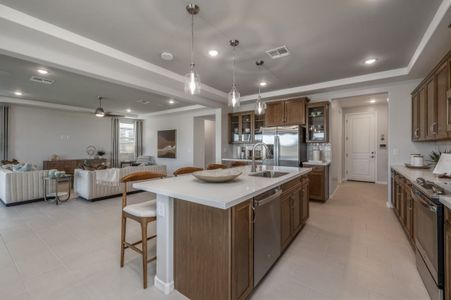 The Grove at El Cidro by William Ryan Homes in Goodyear - photo 38 38