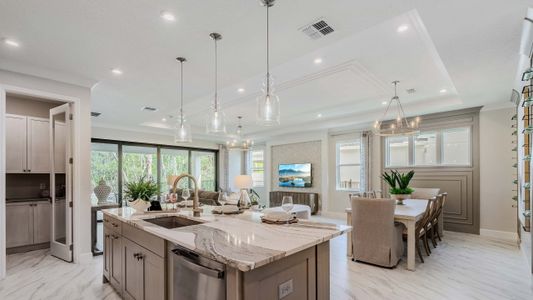 Cresswind at Lake Harris by Kolter Homes in Tavares - photo 11 11