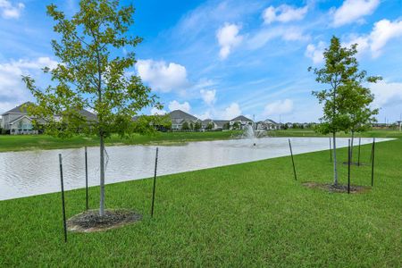 Sunterra by Adams Homes in Katy - photo 23 23