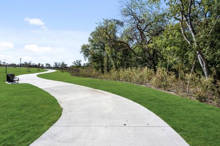 Meadow Vista 50-55 22