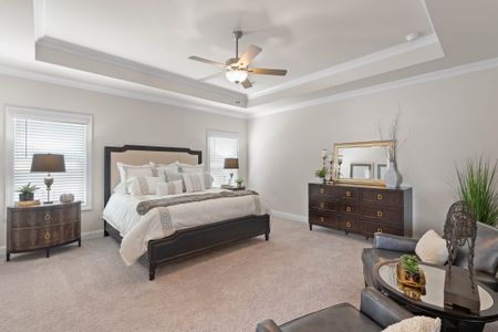 Palisades Single Family by The Providence Group in Cumming - image 8