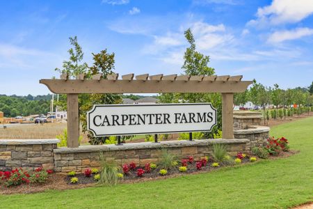 The Trails at Carpenter Farms by Century Communities in Lincolnton - photo 0 0