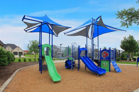 Cambridge Crossing: 50ft. lots by Highland Homes in Celina - image 17