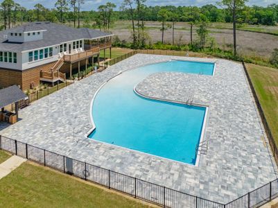 Crescent and Symphony at Hammock Bay by DSLD Homes in Freeport - image 5