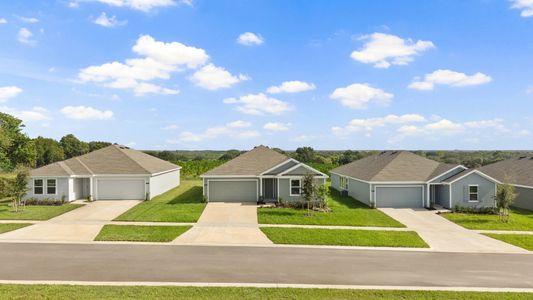 Woodland Ranch Estates: Majors 1