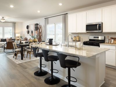 Travena - Reserve Collection by Meritage Homes in Georgetown - image