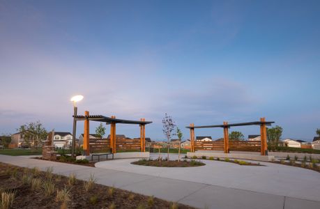 Sky Ranch by Taylor Morrison in Aurora - photo 6 6