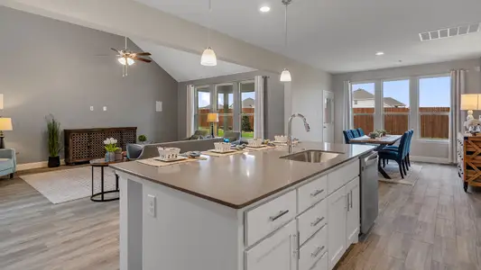 Lakeview Pointe by D.R. Horton in Grand Prairie - image 6