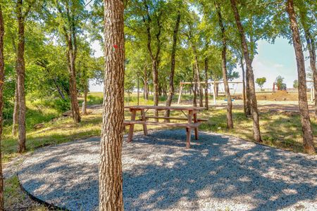 Prairie Oaks Gardens by David Weekley Homes in Little Elm - photo 10 10