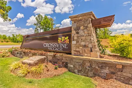 Crossvine Village by Dream Finders Homes in LaGrange - image
