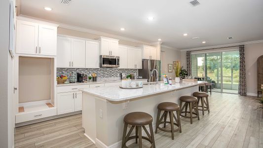 Pine Ridge by Maronda Homes in Beverly Hills - photo 21 21